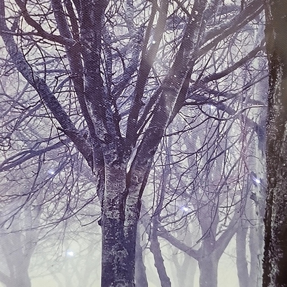 Canva Wall Art. Lighted. Forest with fog and snowy ground. - Picture 7 of 8